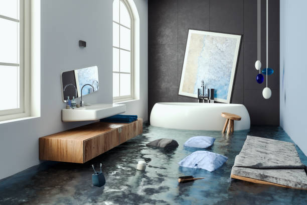 Best Flood restoration services  in Creedmoor, NC