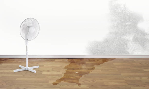 Best Sewage cleanup and water damage restoration  in Creedmoor, NC