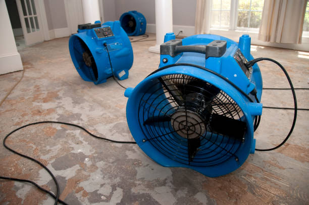 Best Professional water damage repair  in Creedmoor, NC