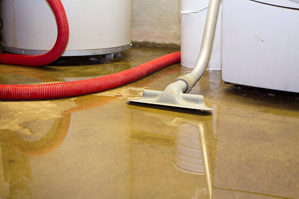 Best Water damage contractors near me  in Creedmoor, NC