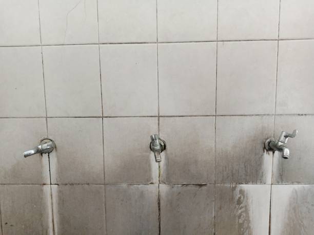 Best Water damage restoration near me  in Creedmoor, NC