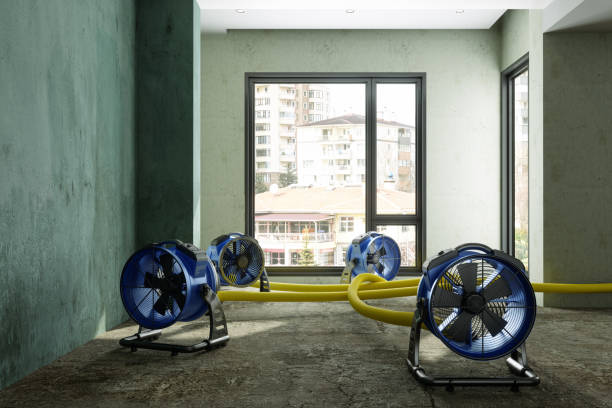 Best Local water damage restoration  in Creedmoor, NC
